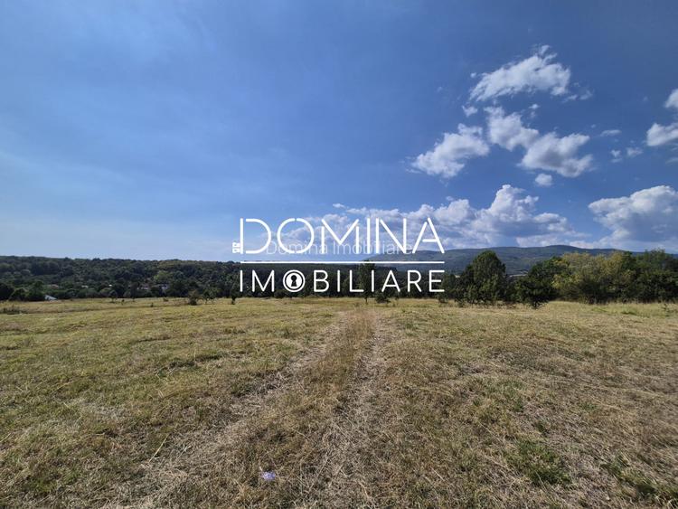 Vânzare teren 13.000 mp - Runcu-Suseni - oportunitate turistică - 7