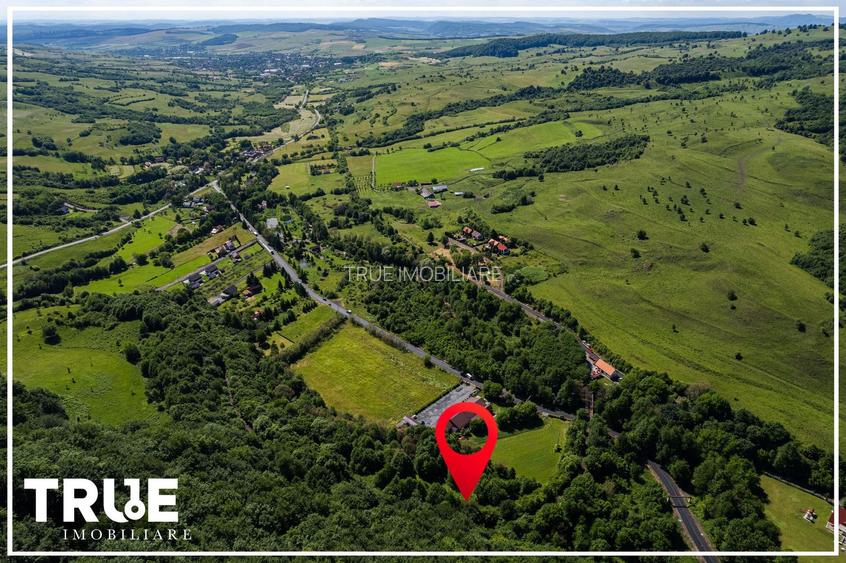 Teren intravilan 2.800 m² în Câmpu Cetății – liniște și natură - 19
