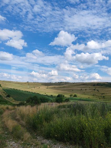 Teren intravilan ideal pentru casa, 4300 mp, Deusu - Chinteni