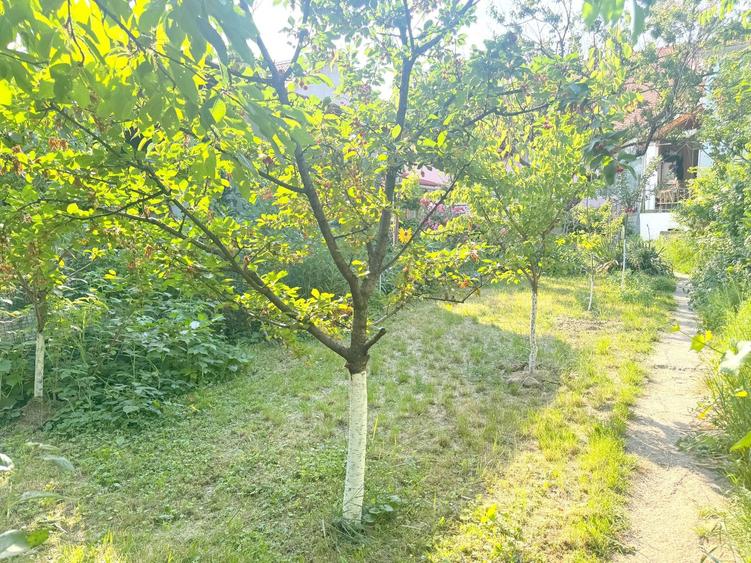 Apartament la casa- Zona Elisabetin Timisoara