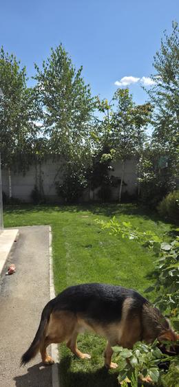 Casa pe parter cu 4 camere cu Panouri Fotovoltaice 6kw si Baterie 5kw