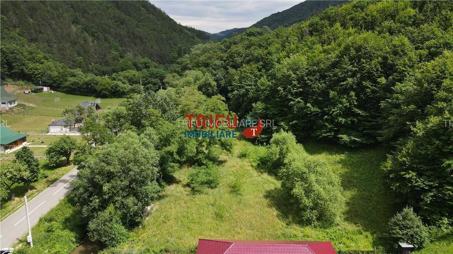 Teren ideal pentru cabană sau pensiune în Poiana Galdei - 16