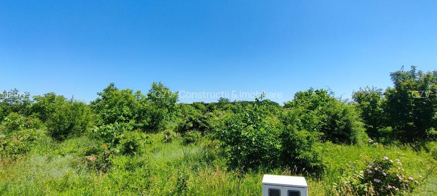 Lot pentru două case – Corbeanca Tamași - 12