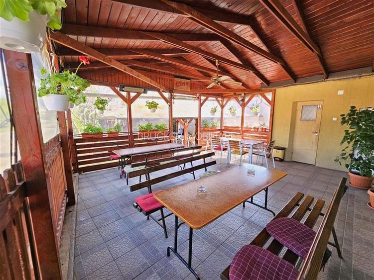 PROPRIETATE CU AFACERE FUNCTIONALA DE VANZARE - PETREU, LANGA MARGHITA - 9