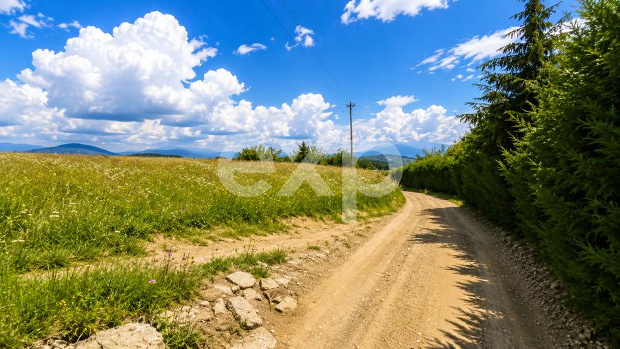 8.544 mp în Poiana Mărului | Teren cu potențial, la doar 1 km de asfalt