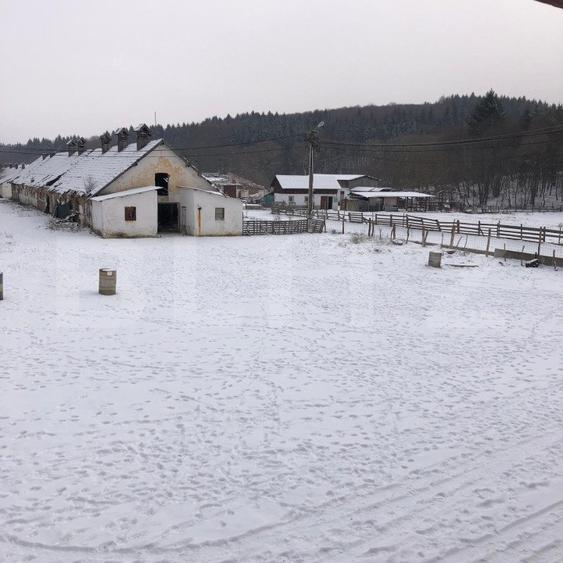 Teren intravilan de vânzare, 92.545 mp, zona Geamăna, Codlea