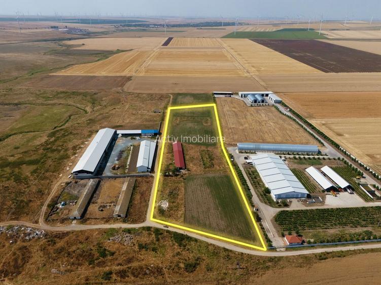 Cogealac - Tariverde – Ferma cu teren intravilan, utilitati racordate! - 3