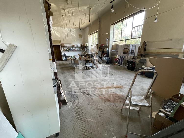 Spatiu comercial 250 mp, pe colt, vitrina generoasa, Sinaia, Timisoara - 5