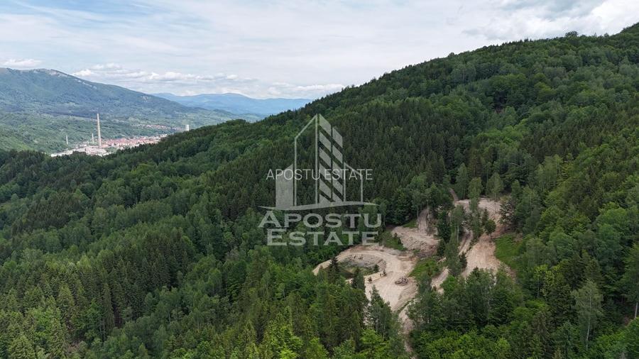 Oportunitate! Domeniu montan, cu lac propriu, oras Lupeni, Hunedoara - 14
