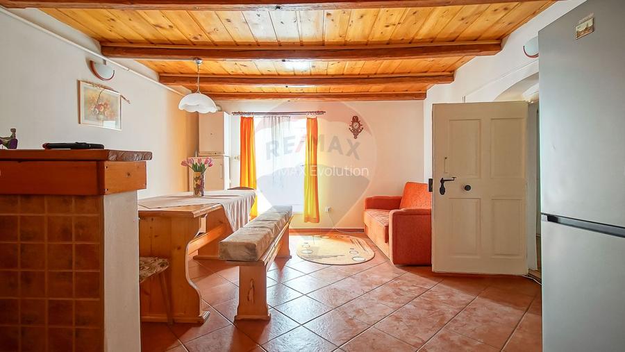 APARTAMENT ISTORIC 110 MP CU POD SI VEDERE SPRE STRADA REPUBLICII - 15