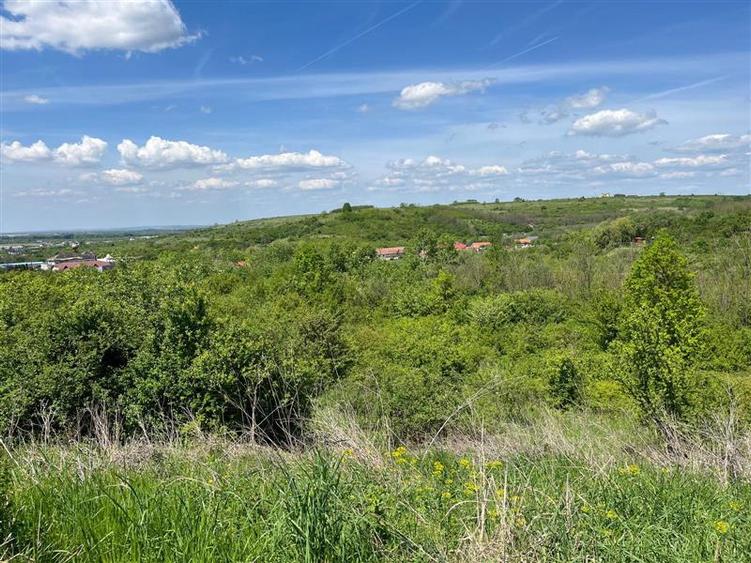 Lugoj, Investiție excelentă: 8.200 Mp., Front 200 ML., Ideal Parcelar