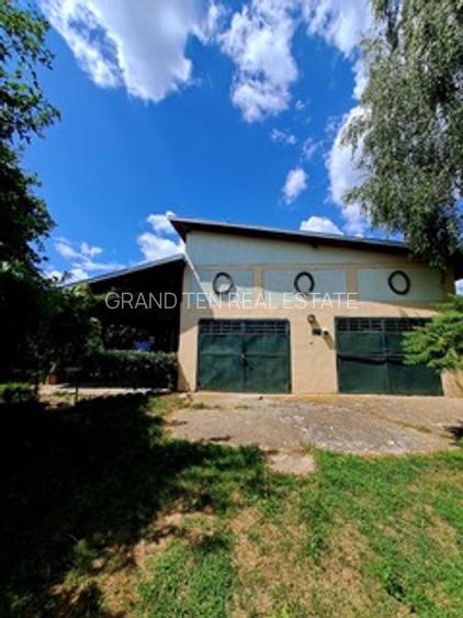 Vanzare vila P+1+M cu 5 camere, casa batraneasca , 2 garaje, teren 9249mp, - 23