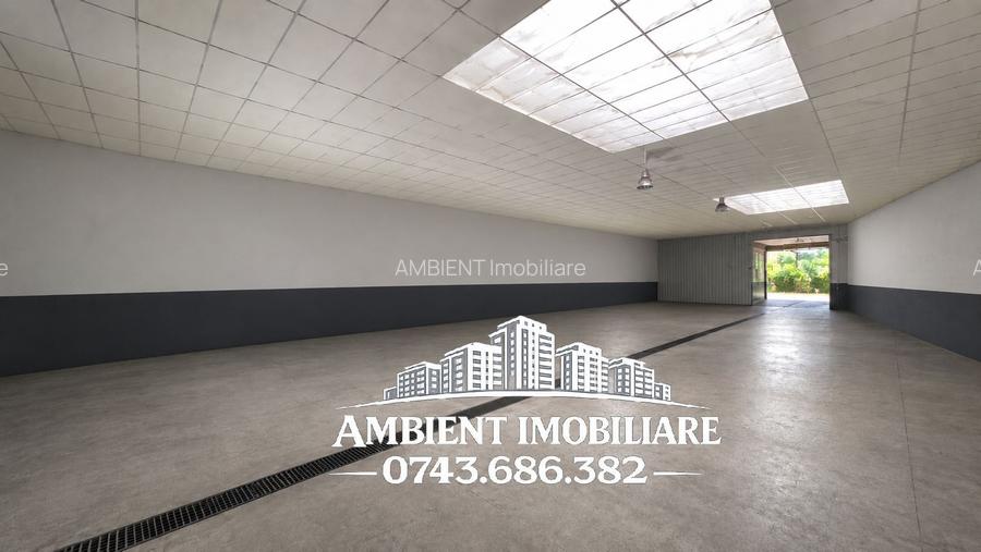 Spatiu comercial - HALA producție/depozitare, VASLUI zona MOVAS; - 6