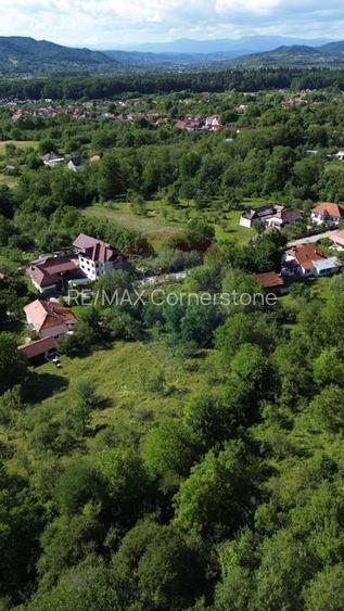 Casă de vânzare in natura la tara - Mihaesti - 6