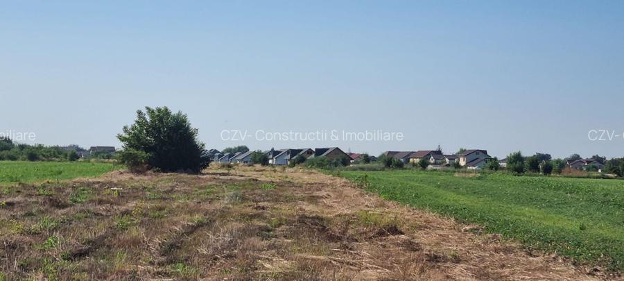 Teren intravilan 2.000 mp, două loturi construibile – Darvari, Ciorogârla - 7