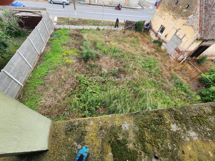 Vand casa mare și teren mare în Peciu Nou - 10
