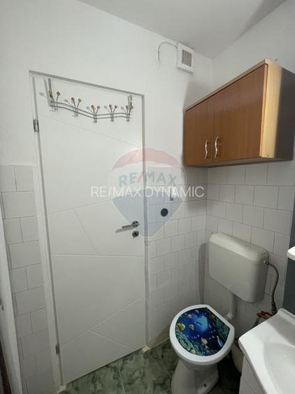 Apartament cu 1 camera in Micalaca - 6