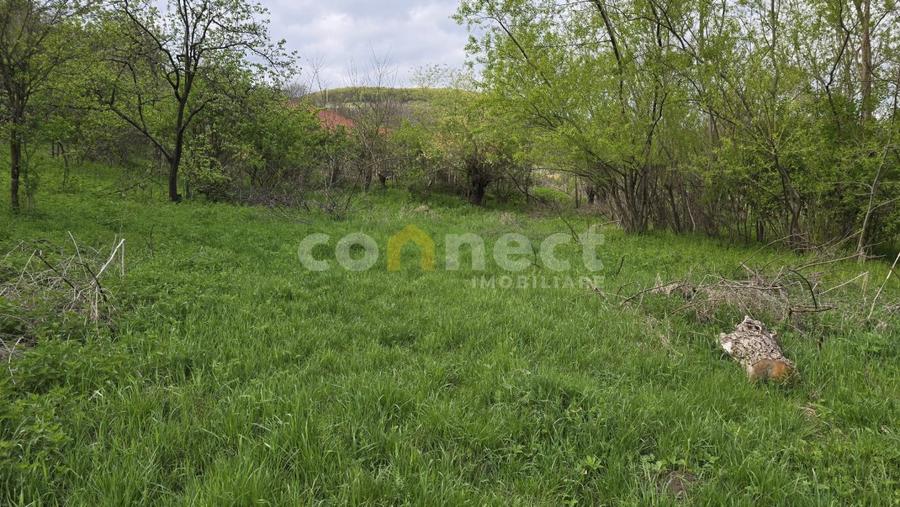 De vânzare teren superb în Ciurila ~ 5000 mp de liniște, verdeață și potențial
