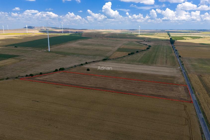Vând teren agricol la șosea de 30.000mp în Iazurile comuna Valea Nucarilor