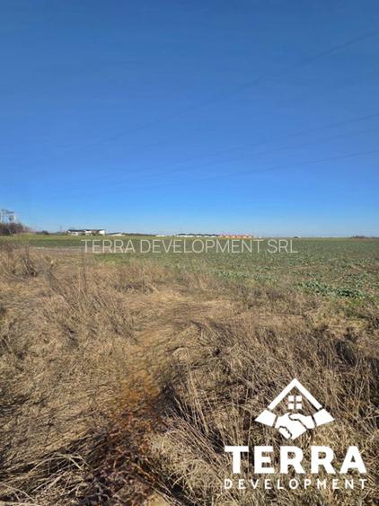 Eforie Nord | Teren cu Potențial | Deschidere mare la șosea - 6