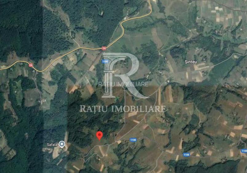 Teren de vânzare | 30500 mp | Priveliște superba | Sinteu | Bihor - 2