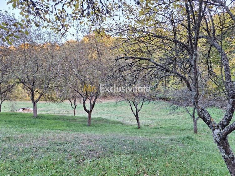 Teren 600mp intravilan - Balotesti