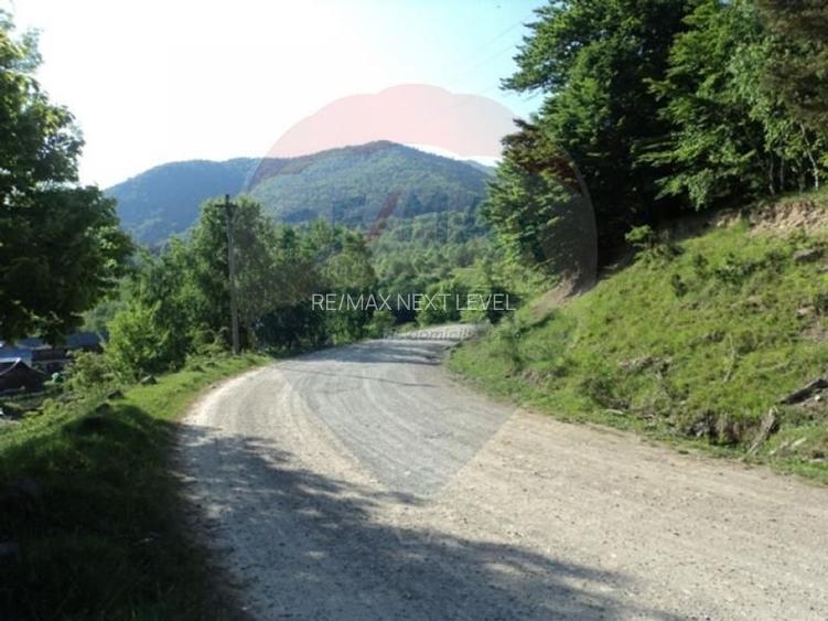 Teren 7 loturi de vanzare 65.313 mp, Valea Uzului, Darmanesti