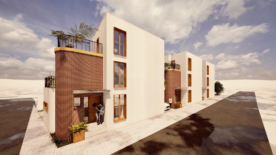 Teren + proiect Palazu Mare - Corneliu Baba - 5