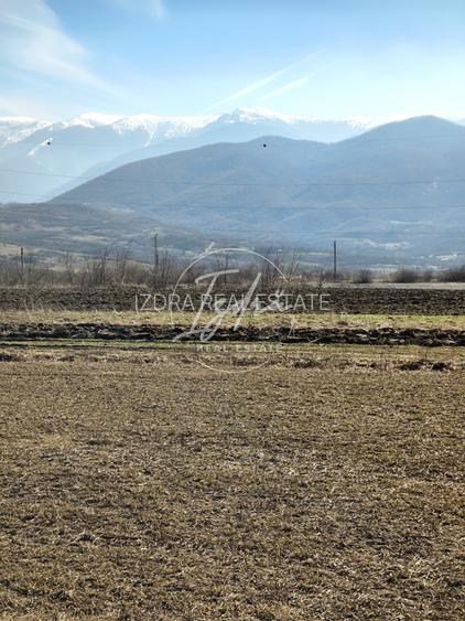 Teren de vanzare - 6