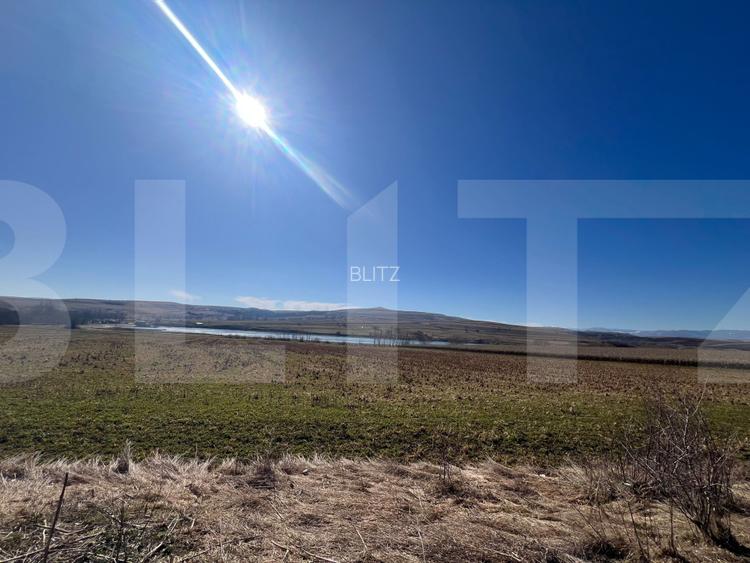 Oportunitate de Investiție - Teren Generos 17.000 mp la Lac Pădureni, Ciurila - 2