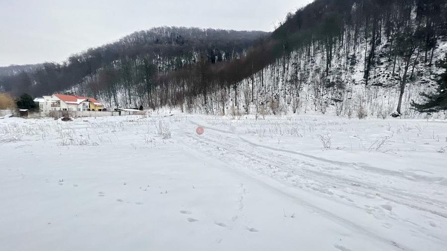 Teren intravilan - Sacele - Brasov