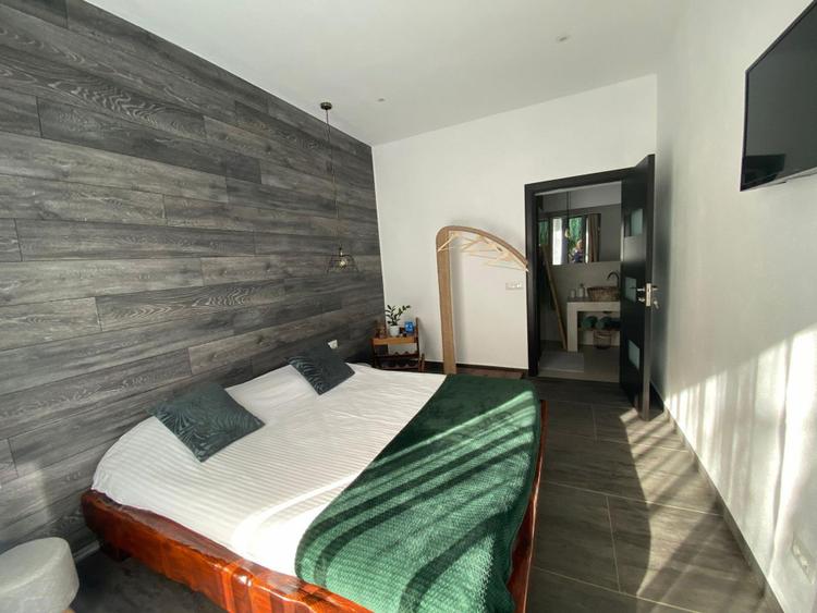 Casa Lux Mediteraniana cu 1620 mp. teren mobilata utilata CETATE cazare pensiune