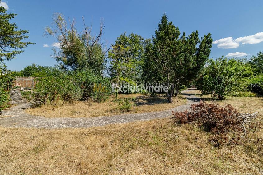 Domeniu privat 5.000 mp, cu reședință de 625 mp și piscină, Corbeanca - 41