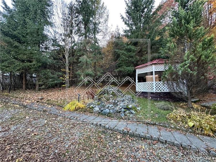 Casa de vacanta in Cartisoara, Transfagarasan - teren 971 mp, 8 camere - 26