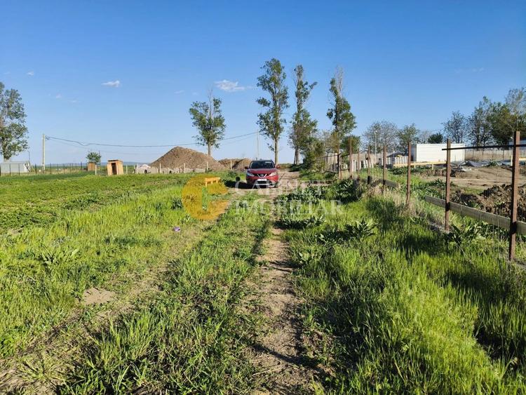 🌳 Teren Intravilan iesire Vorovești - 500 mp - 20.000 Euro 🏡