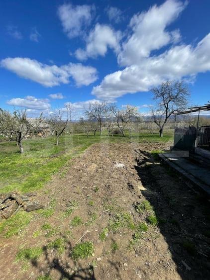 Casa cu 3 camere, 90 mp, 2 anexe gospodaresti si teren de 3000 mp, zona Crucisor