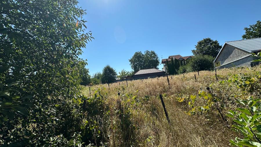 Teren 1.524 mp + Casă bătrânească | Bacău, Cartier Tache