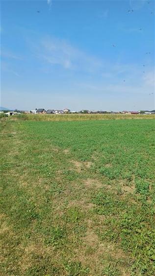 Teren intravilan 2500 mp de vanzare