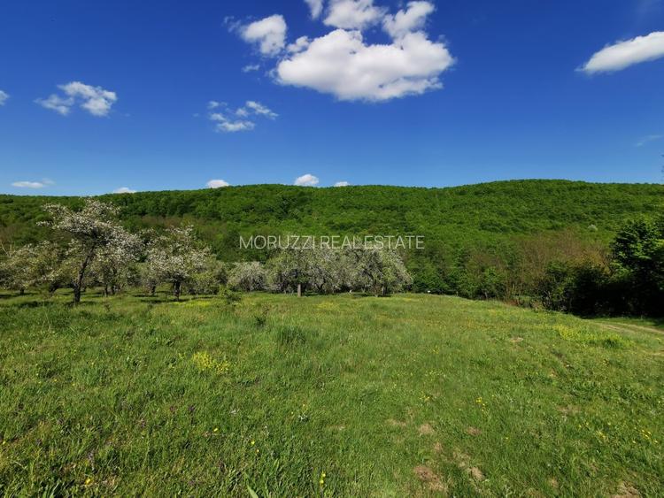 Teren de Vânzare, Budeasa Mica – Potrivit pentru Casă de Vacanță sau Investiție - 5