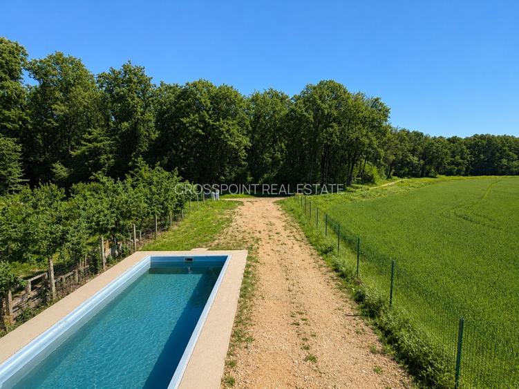 VILA NOUA CU PISCINA SI DESCHIDERE LA PADURE-GHERMANESTI, SNAGOV - 3
