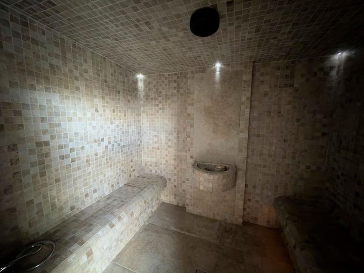 Reședință exclusivistă cu piscină și SPA | Dumbrăvița