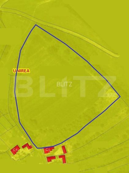 Teren intravilan, 21.450 mp, utilitati, acces autostrada, sat Dumbrava - 4