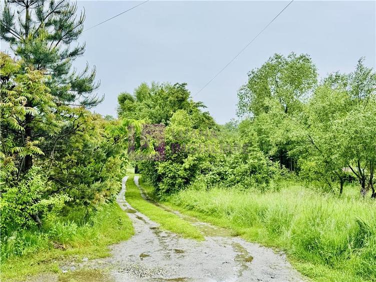 Teren intravilan 1600 mp | Valea Avrigului | zona turistica