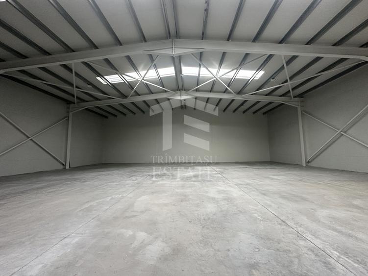 CENTURA - Rudeni | HALA 510 mp| Birouri 60mp | Parc Industrial nou