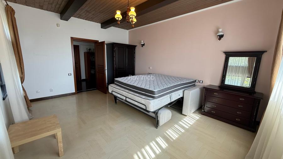 Casă spațioasă și curte generoasă, Titi Aur- destinații multiple - 24