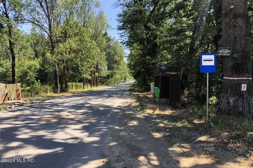 Moara Vlasiei - langa Padurea Biglaru, 11.884 mp, deschidere 40 ml - 7