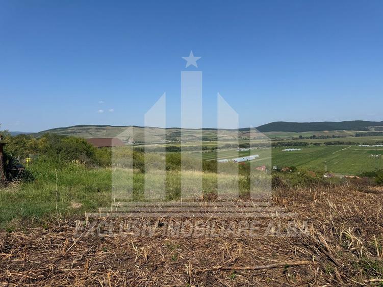 Teren intravilan | De vanzare | 1000 mp | 17 ml deschidere | Micesti