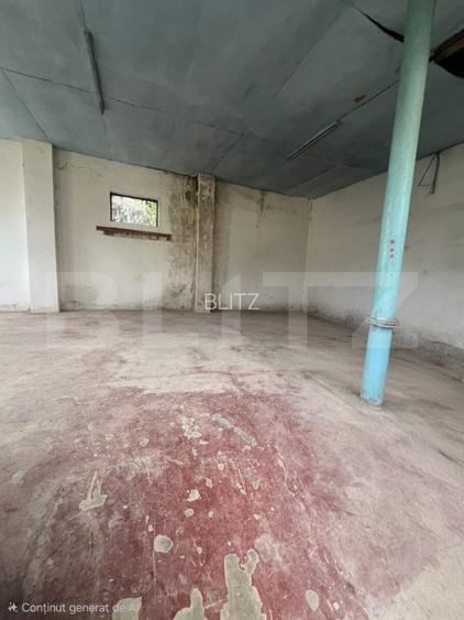 Spatiu depozitare cu curte mare, 120 mp, zona Libertatii - 2