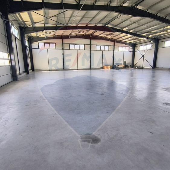 Spațiu industrial hala 597 Mp de inchiriat Ciorogarla