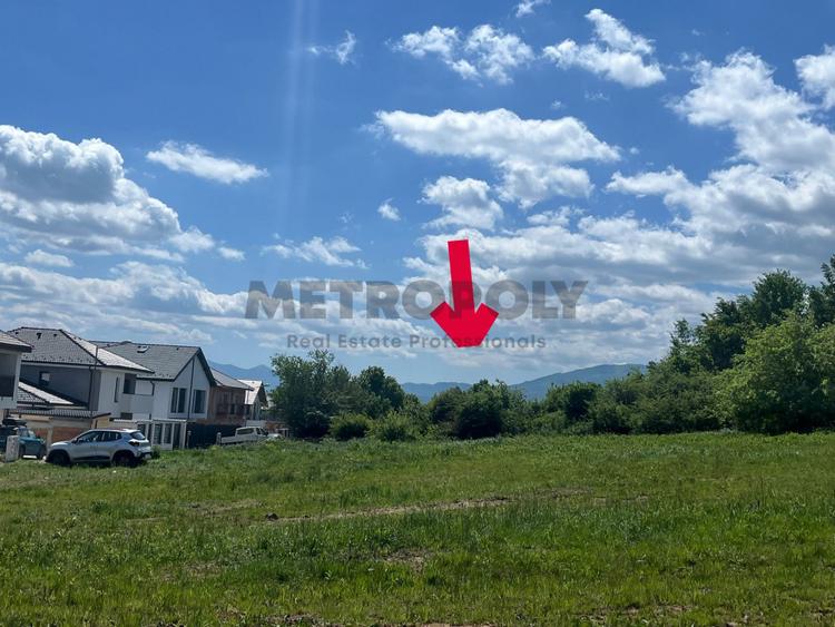 Teren 5.000 mp pe Calea Cisnadiei